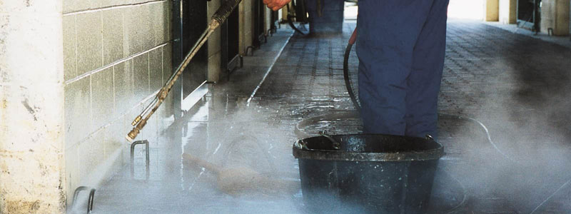 Professional Cleaning & Disinfection
